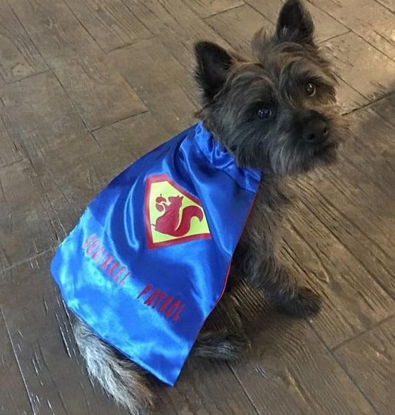 Dog Superhero Cape/ Puppy Superhero Cape - Super Capes and Tutus, Pet Costume, [product_tags], Super Capes and Tutus